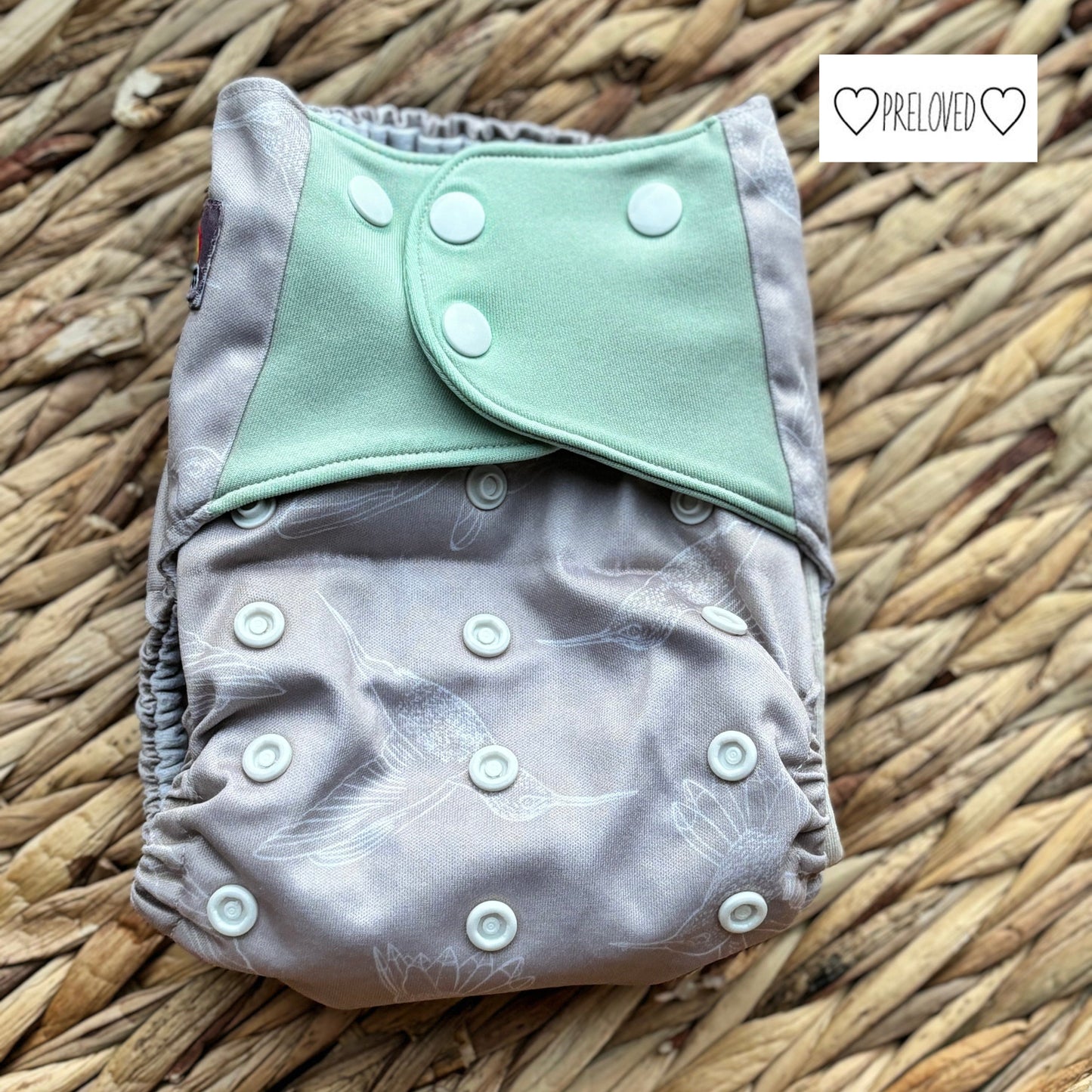 Little Lovebum Popper Pocket Nappy (Hemp & Bamboo Insert)-Pocket Nappy-Little Love Bum-Evergreen-The Nappy Market
