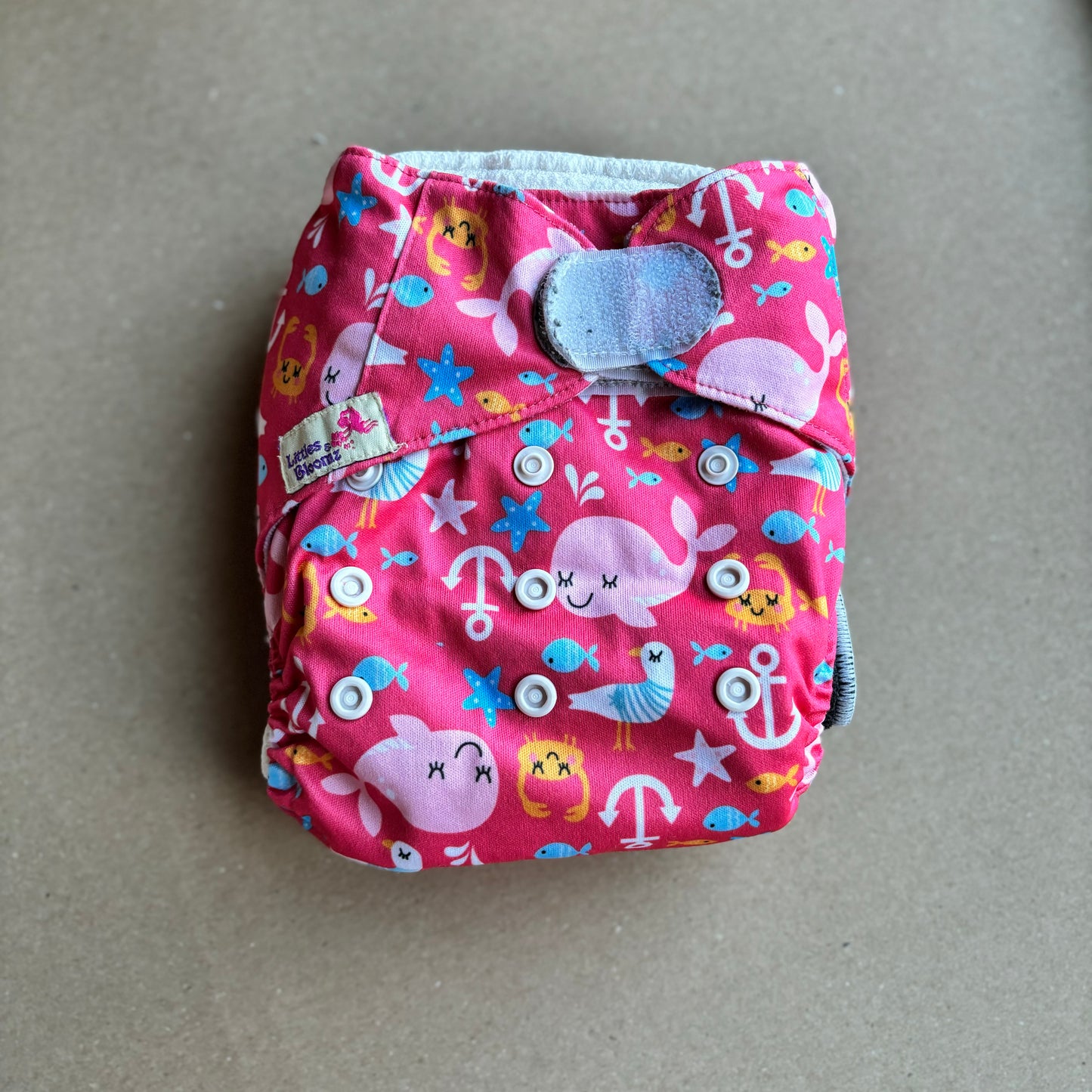 Littles & Bloomz Velcro Pocket Nappy-Pocket Nappy-Littles & Bloomz-Whales-The Nappy Market