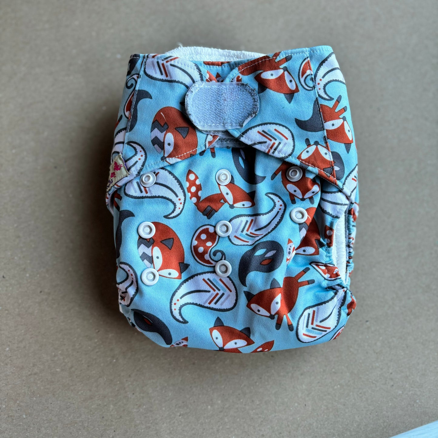 Littles & Bloomz Velcro Pocket Nappy-Pocket Nappy-Littles & Bloomz-Foxes-The Nappy Market