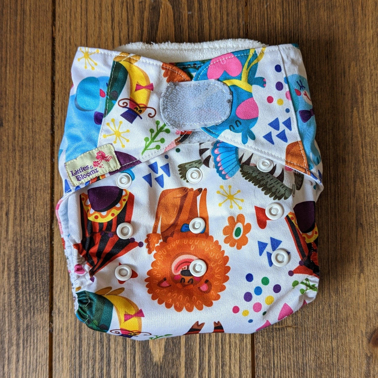 Littles & Bloomz Velcro Pocket Nappy-Pocket Nappy-Littles & Bloomz-Foxy (out of stock)-The Nappy Market