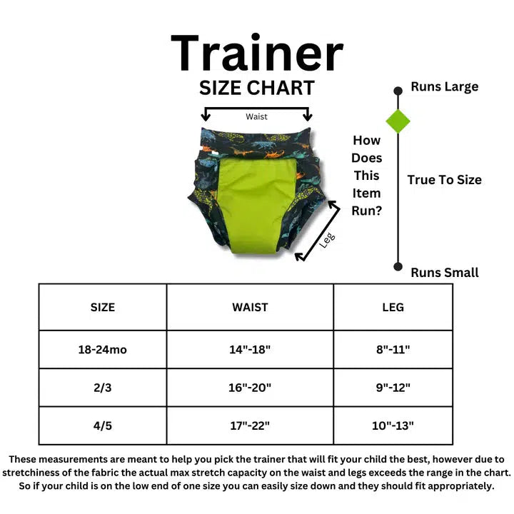 Smart Bottoms Pull Up Training Pants (Heavy / Nighttime)-Training Pants-Smart Bottoms-Medium-After the Storm-The Nappy Market