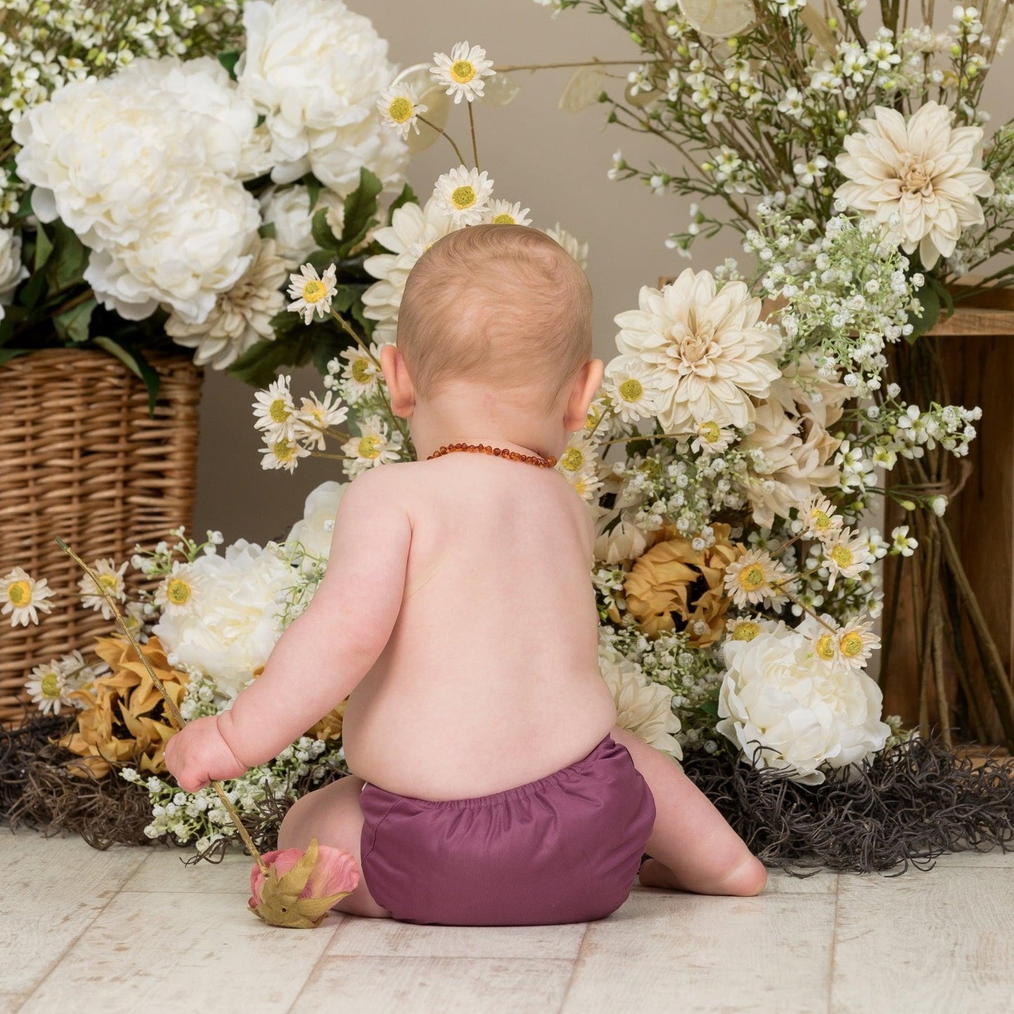 Little Lamb ONE SIZE Pocket Nappy-Pocket Nappy-Little Lamb-Aubergine-The Nappy Market