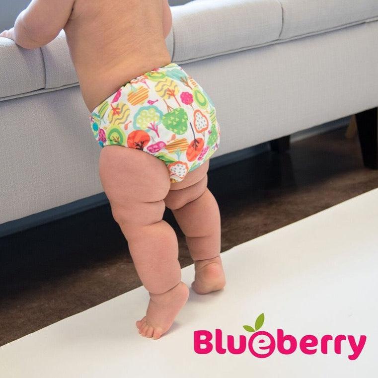 Blueberry Simplex Organic Cotton All in One Nappy-All In One Nappy-Blueberry-Balloons-The Nappy Market