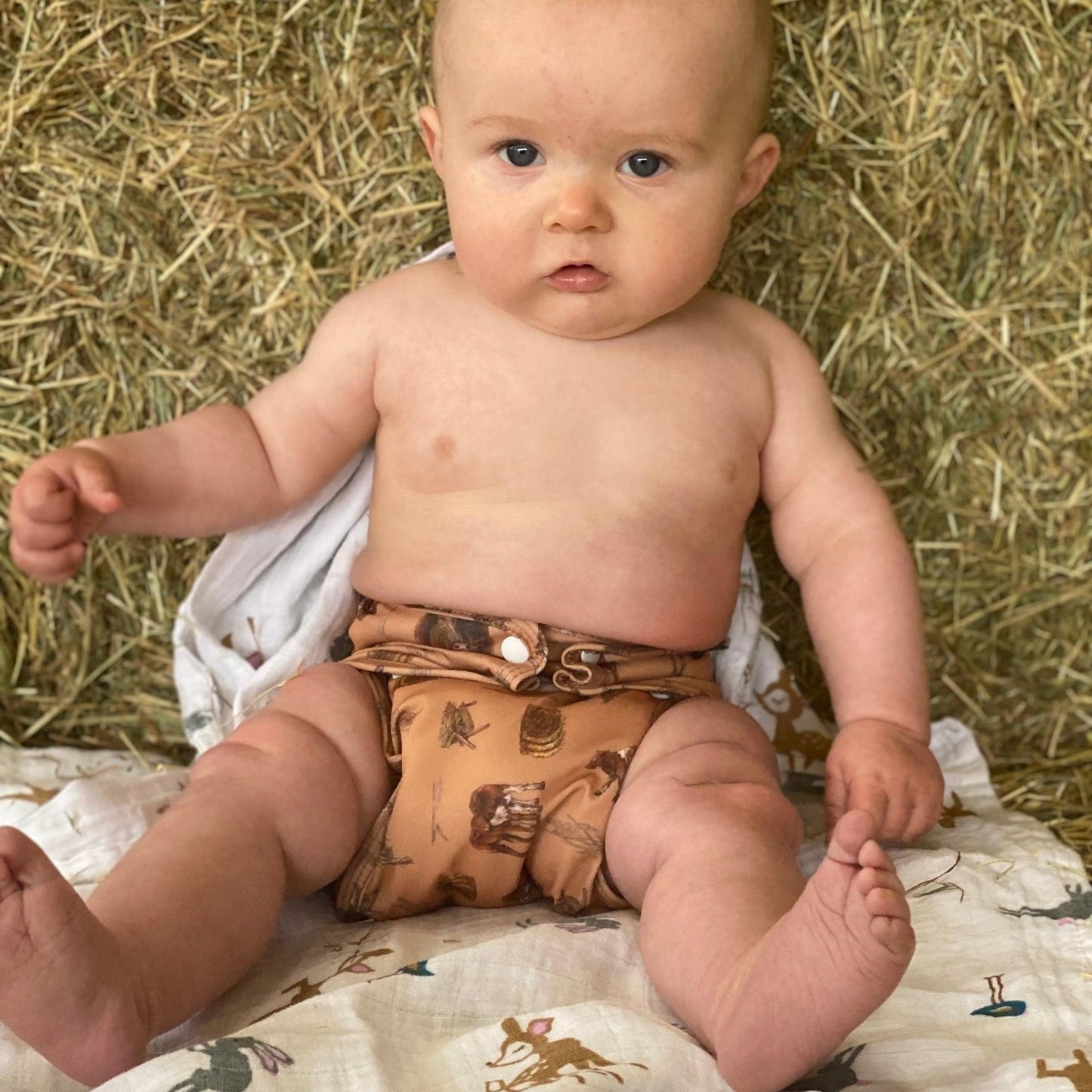 Little Lamb ONE SIZE Pocket Nappy-Pocket Nappy-Little Lamb-Blush Pink-The Nappy Market