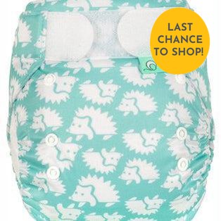 Tots Bots Easyfit All in One Nappy-All in One Nappy-Tots Bots-Hedgehug-The Nappy Market