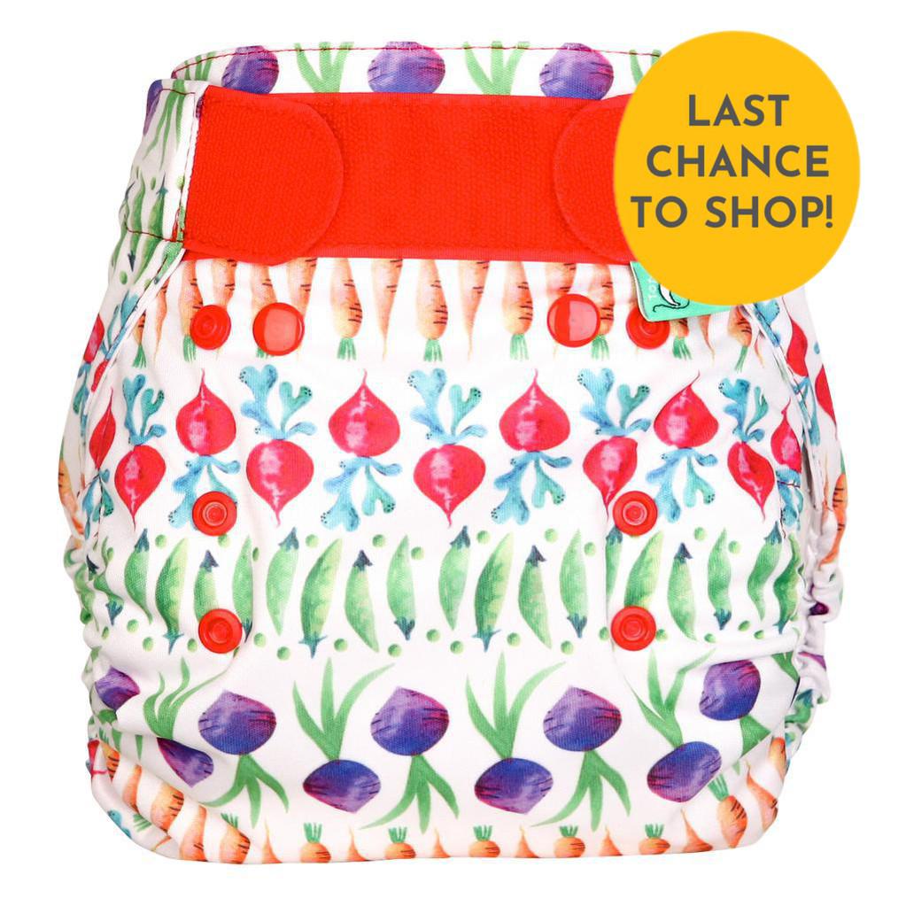 Tots Bots Easyfit All in One Nappy-All in One Nappy-Tots Bots-One Two Peas-The Nappy Market