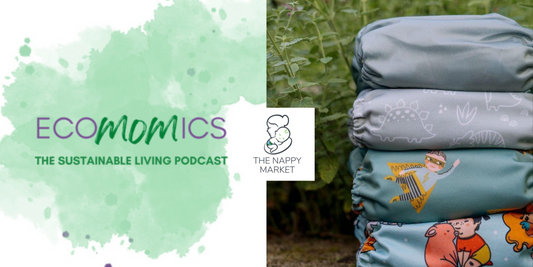 Ecomomics Podcast The Nappy Market 