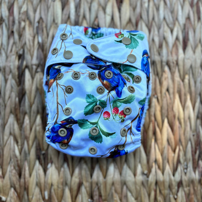 Mimi & Co Originals 2.0 Snap in Pocket Cloth Nappy-Snap in with Pocket-Mimi & Co-Kingfisher-The Nappy Market
