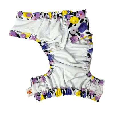 Smart Bottoms Lil Swimmers Swim Nappy - Small 8-16lbs-Swim Nappy-Smart Bottoms-Aqua Floral-The Nappy Market
