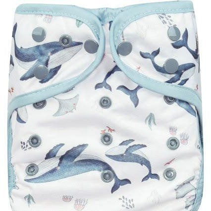 Fiyyah Econo Reusable Cloth Nappy Wrap-Wrap-Fiyyah-Marina-The Nappy Market