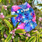 Baby Bare Snap in Pocket Nappy MINKY SHELL-Snap in with Pocket-Baby Bare-Butterfly Garden-The Nappy Market