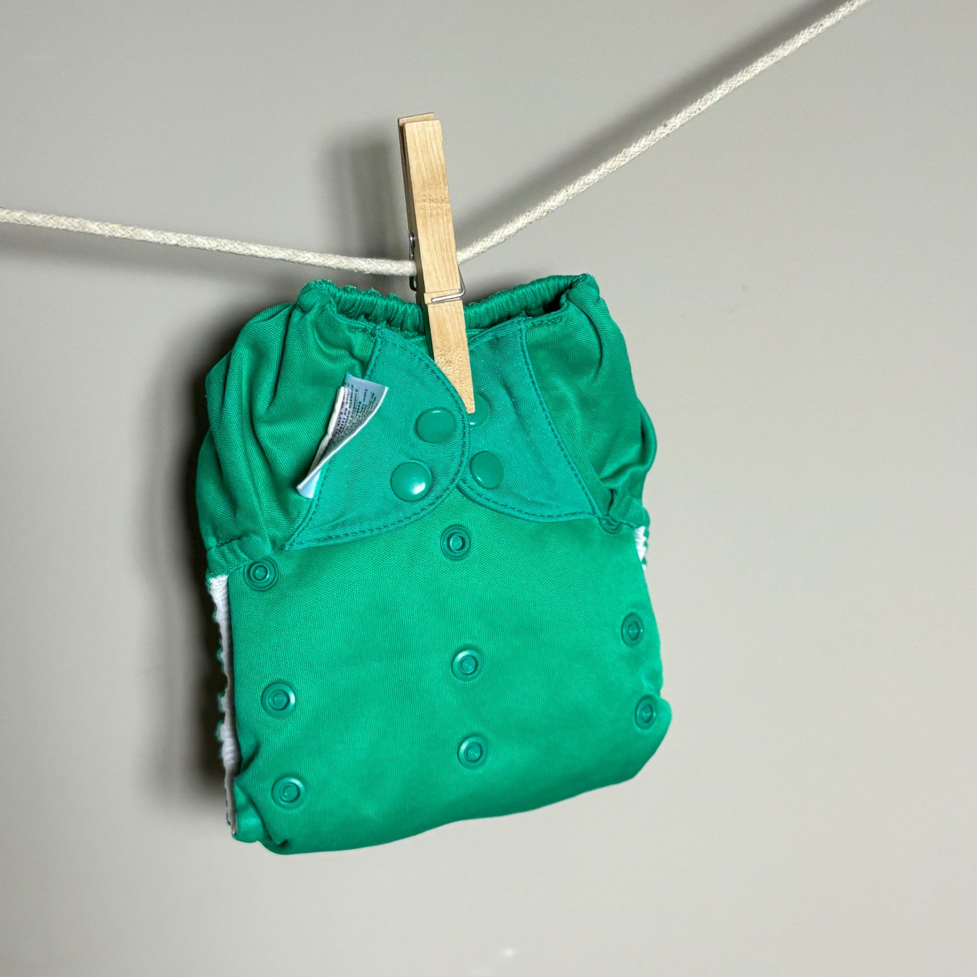 BumGenius Freetime AIO-All In One Nappy-BumGenius-Hummingbird-The Nappy Market