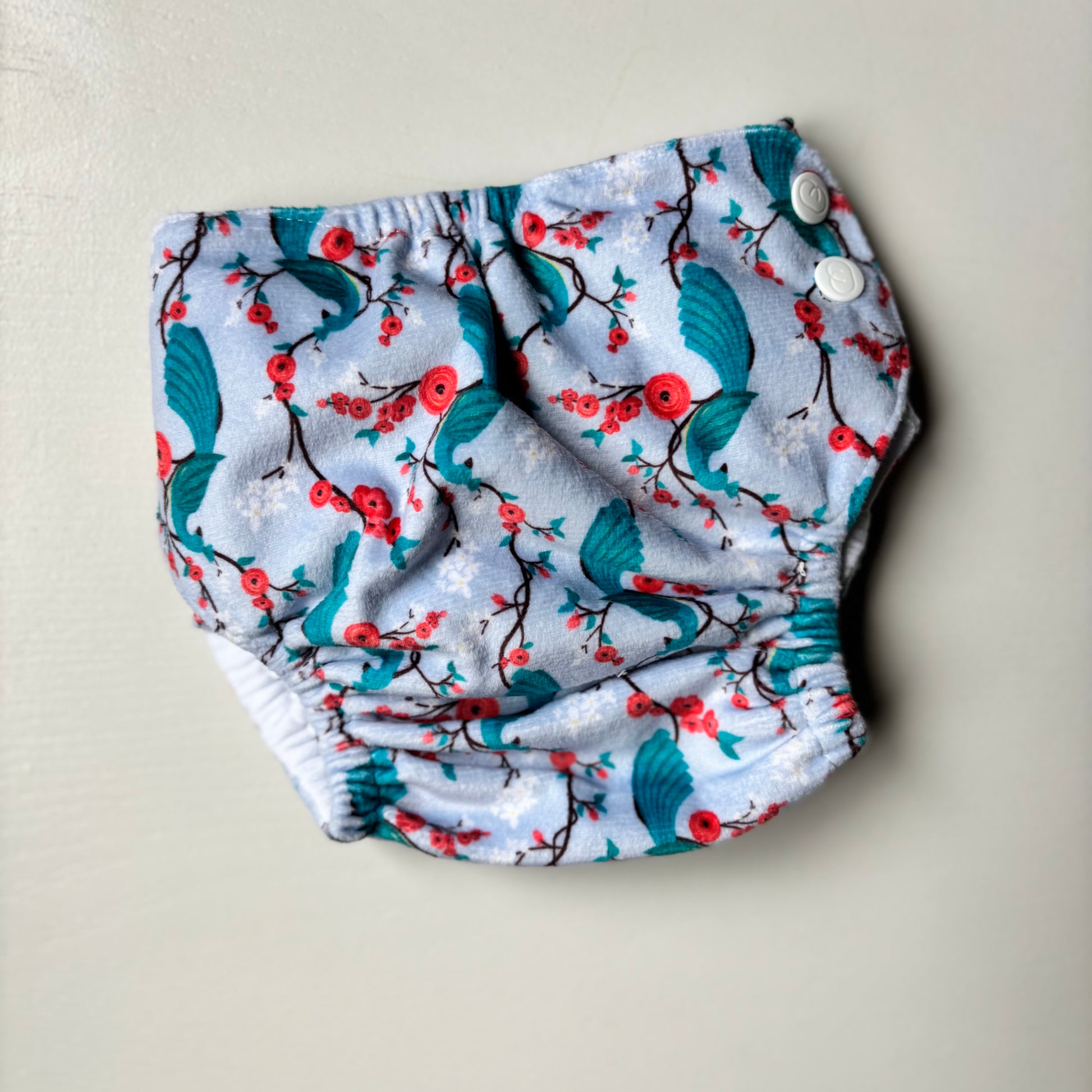 Bubblebubs Candies All in Two Nappy-All in Two Nappy-Bubblebubs-Mayura (Minky)-The Nappy Market