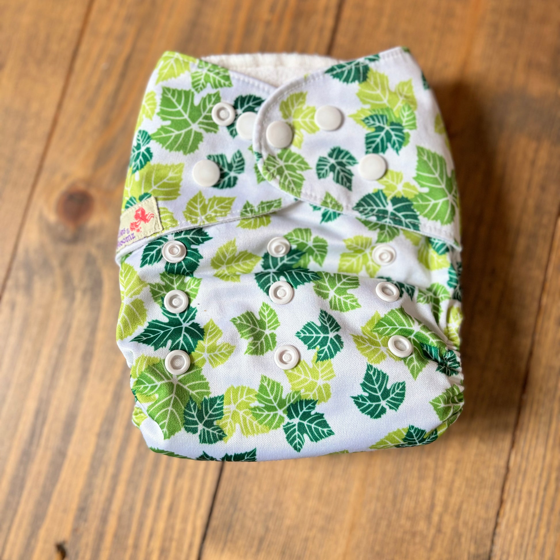 Littles & Bloomz BTP Pocket Nappy-Pocket Nappy-Littles & Bloomz-Leaves-The Nappy Market