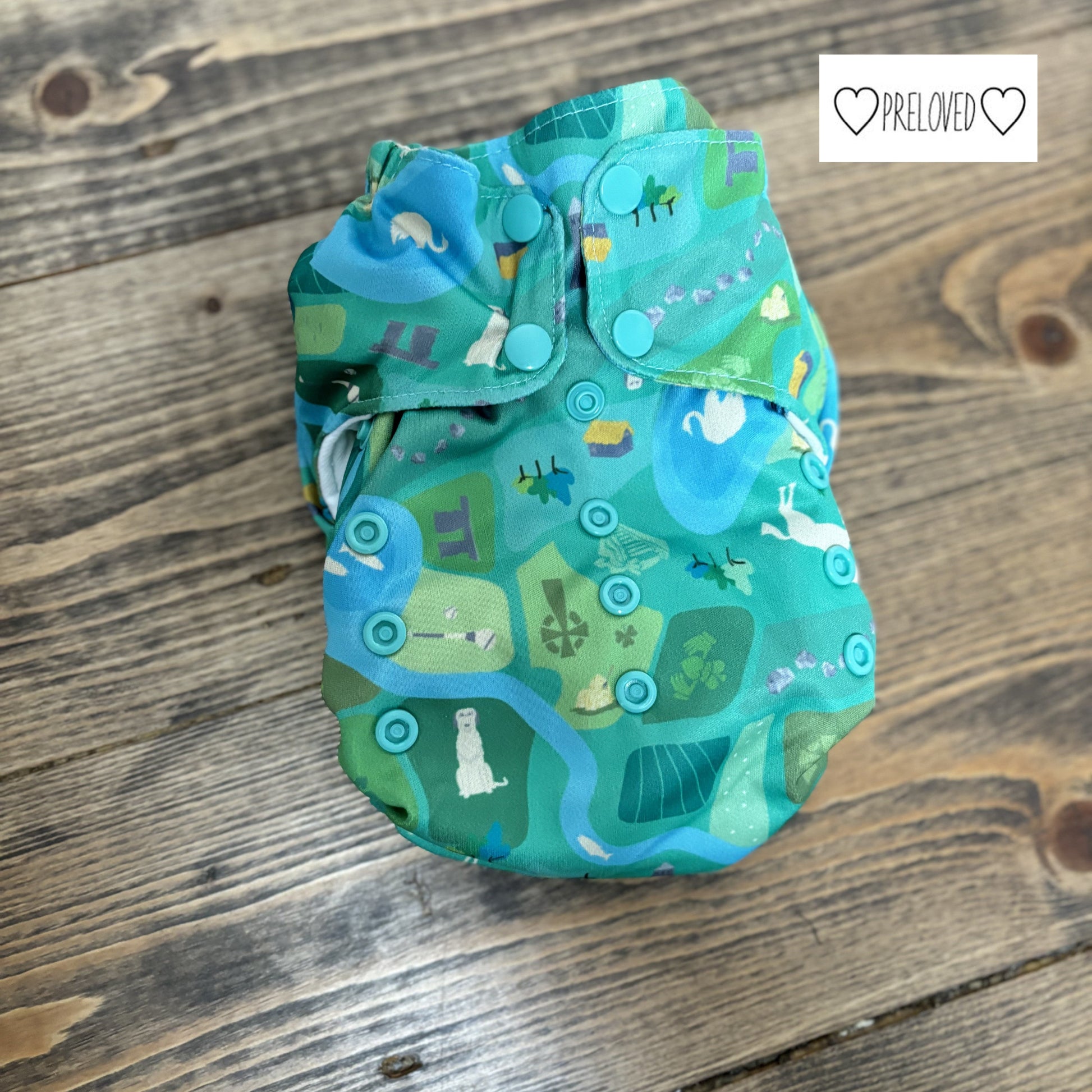 Smart Bottoms - Dream Diaper 2.0 - Snap in One Organic Cloth Nappy-Snap in with Pocket-Smart Bottoms-Nurture-The Nappy Market