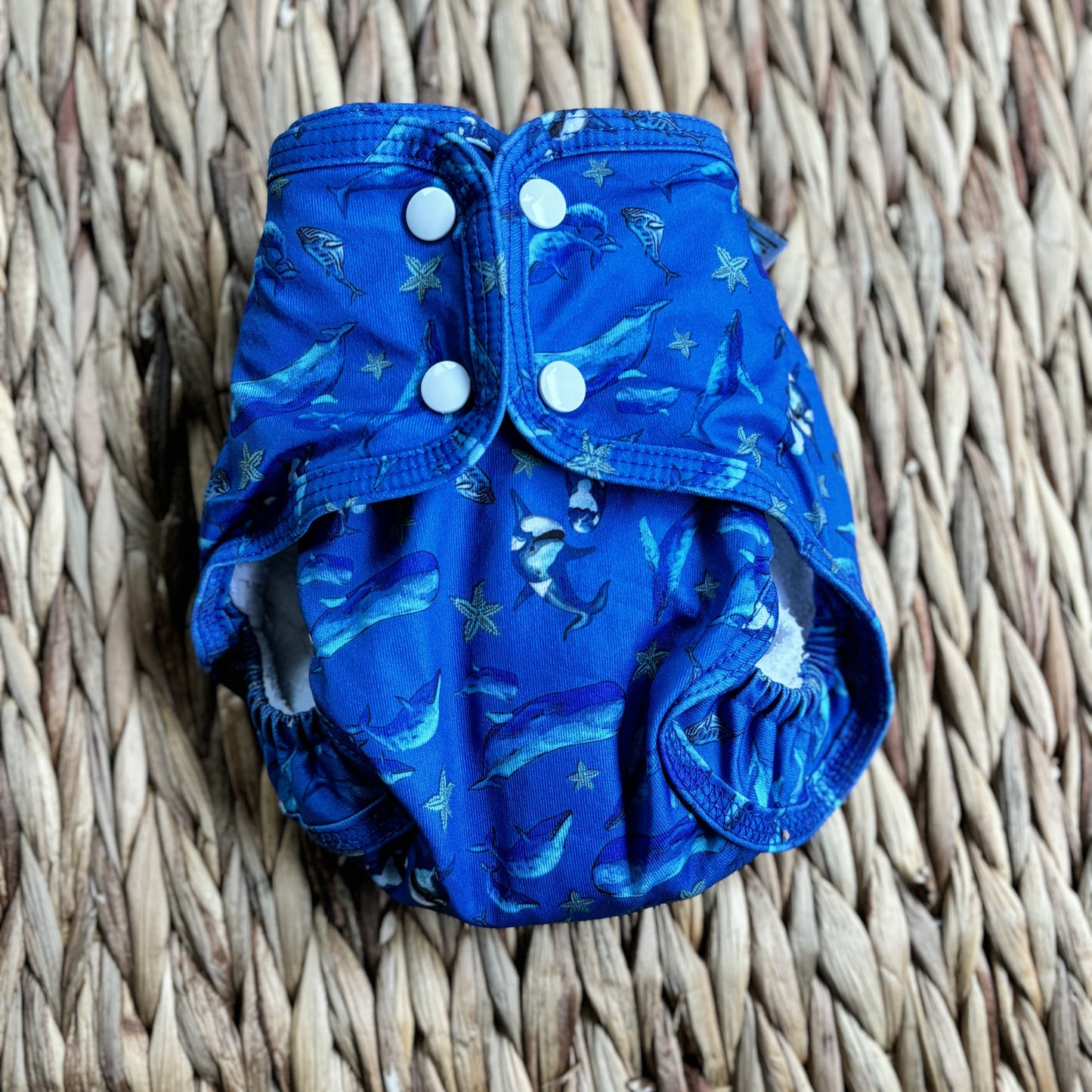 Little Lamb Sized Pocket Nappy Size 1-Pocket Nappy-Little Lamb-Into the Blue-The Nappy Market