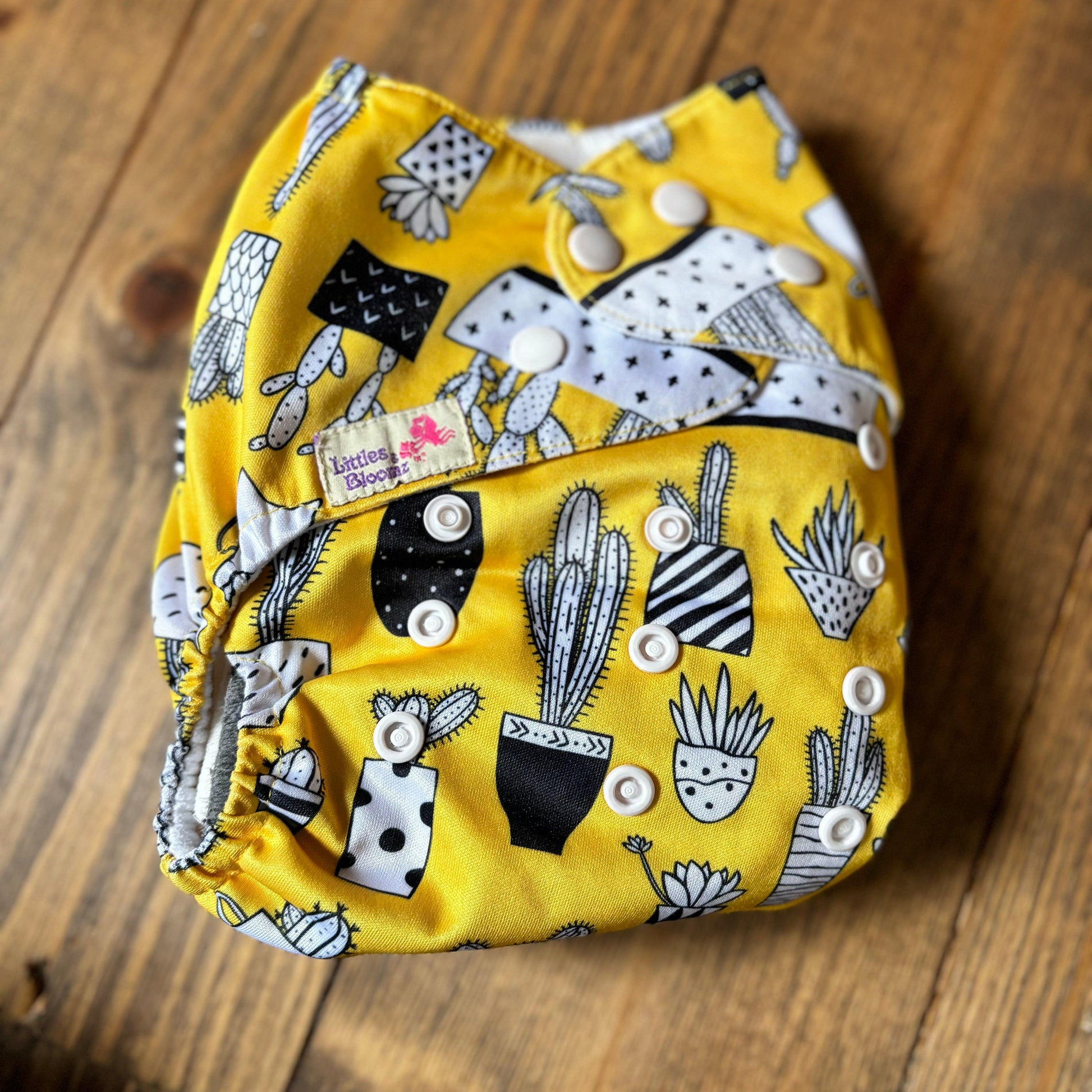 Littles & Bloomz BTP Pocket Nappy-Pocket Nappy-Littles & Bloomz-Cactus-The Nappy Market