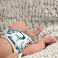 Petit Lulu Newborn Fitted Nappy-Fitted Nappy-Petit Lulu-Flower Meadow-The Nappy Market