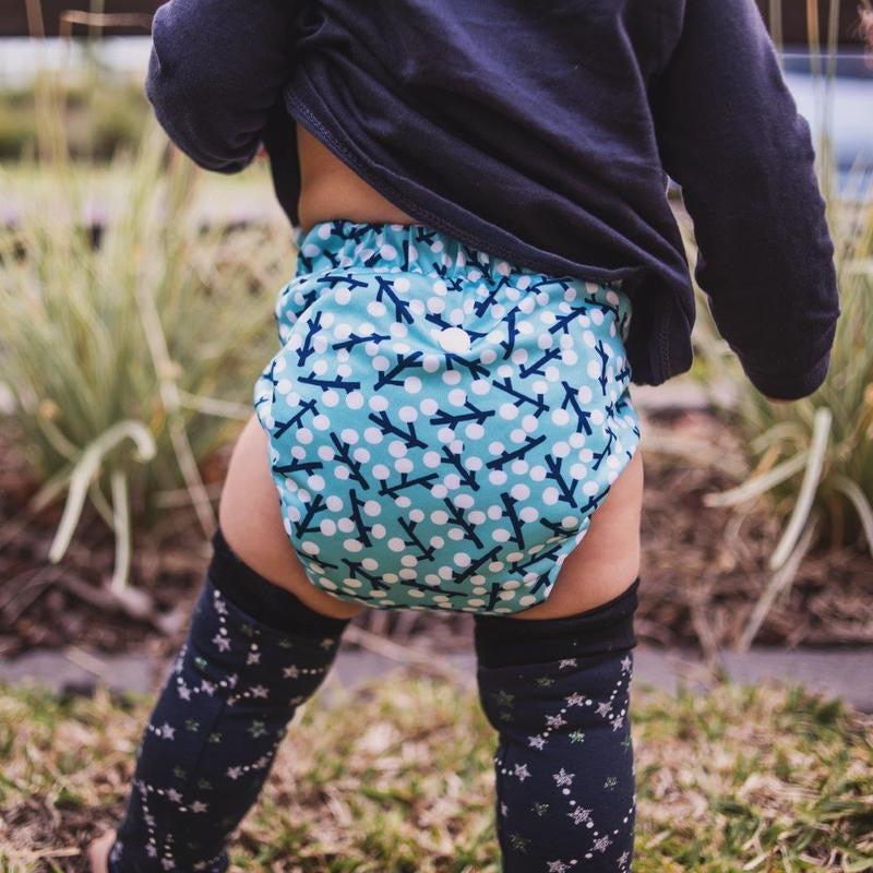 Alcmena V1.5 Snap in Pocket Nappy-Snap in with Pocket-Monarch-In the Old Bum Tree-The Nappy Market