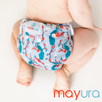 Bubblebubs Candies All in Two Nappy-All in Two Nappy-Bubblebubs-Mizumi-The Nappy Market