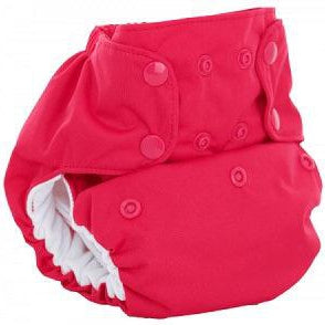 Smart Bottoms - Dream Diaper 2.0 - All in One Organic Cloth Nappy-All in Two Nappy-Smart Bottoms-Tulip-The Nappy Market