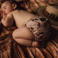 Lighthouse Kids Company Supreme All in One Nappy 15-55 lbs-All In One Nappy-Lighthouse Kids Co-Bee-The Nappy Market