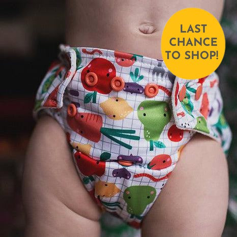 Baba + Boo One Size Pocket Nappy-Pocket Nappy-Baba & Boo-Acorns-The Nappy Market