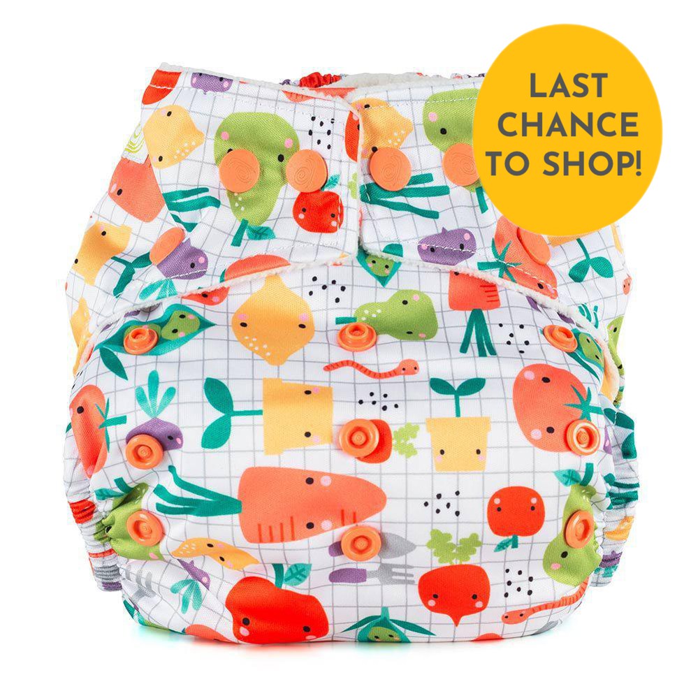 Baba + Boo One Size Pocket Nappy-Pocket Nappy-Baba & Boo-Fruit & Veg-The Nappy Market