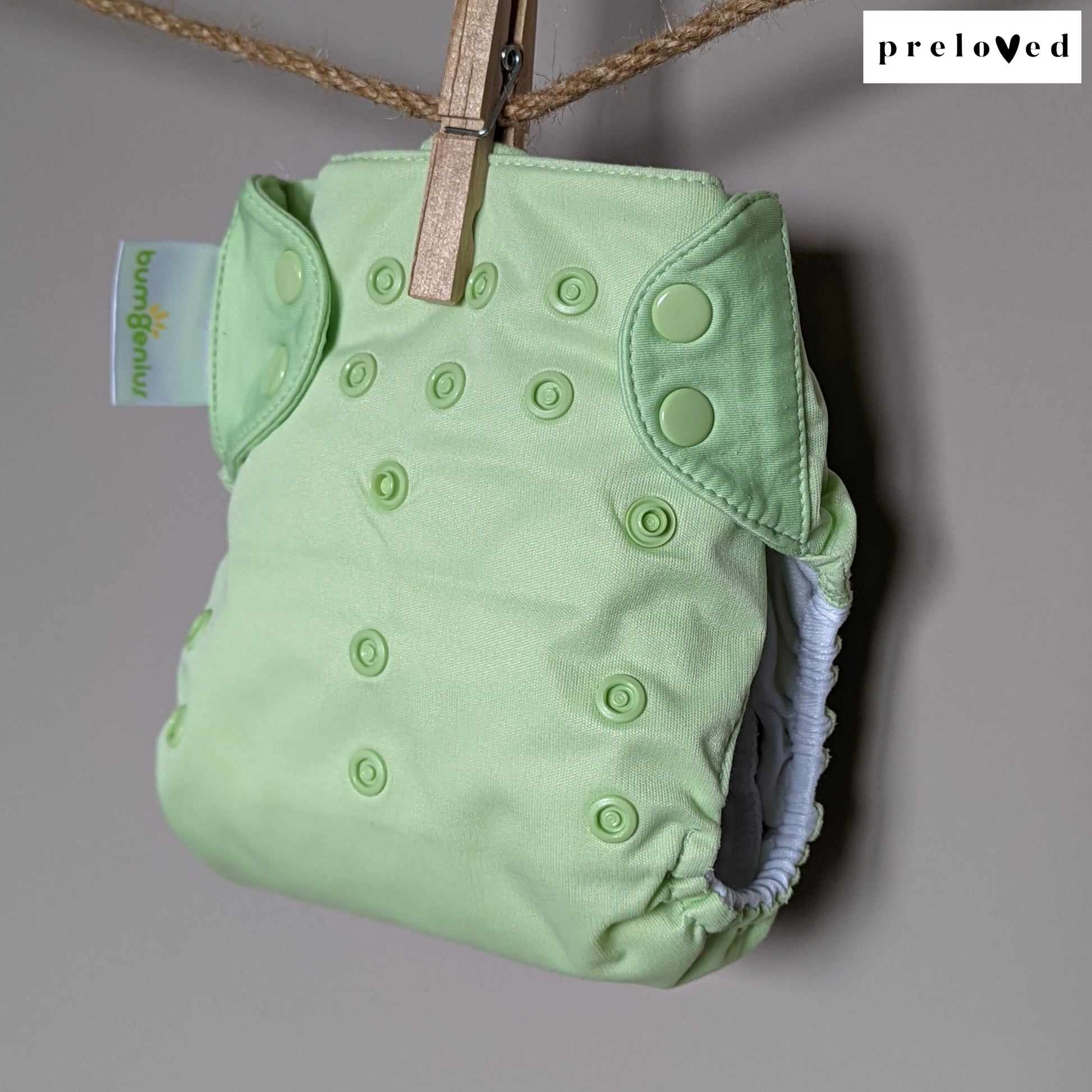 BumGenius Freetime AIO-All In One Nappy-BumGenius-Grasshopper-The Nappy Market