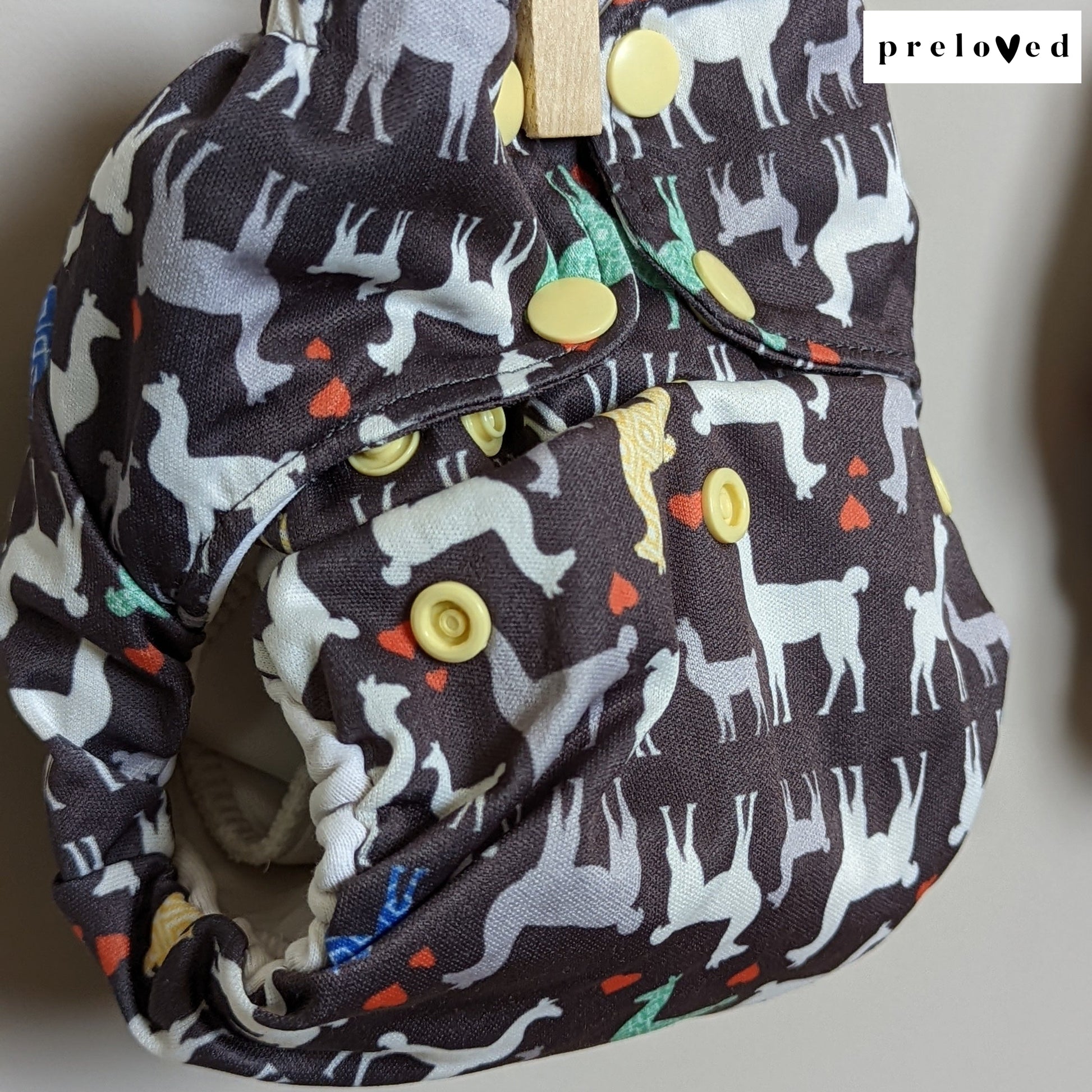 Smart Bottoms Organic AIO-All In One Nappy-Smart Bottoms-Birds-The Nappy Market