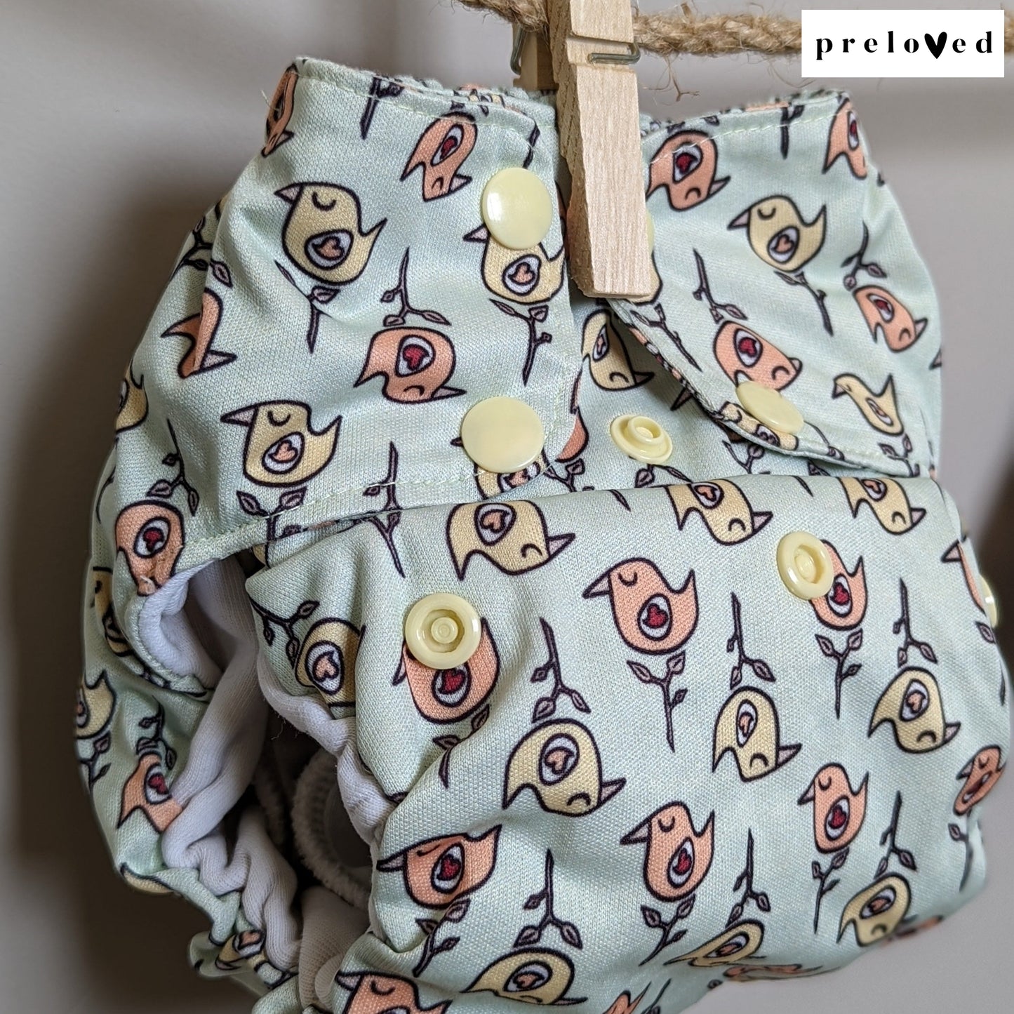 Smart Bottoms Organic AIO-All In One Nappy-Smart Bottoms-Birds-The Nappy Market