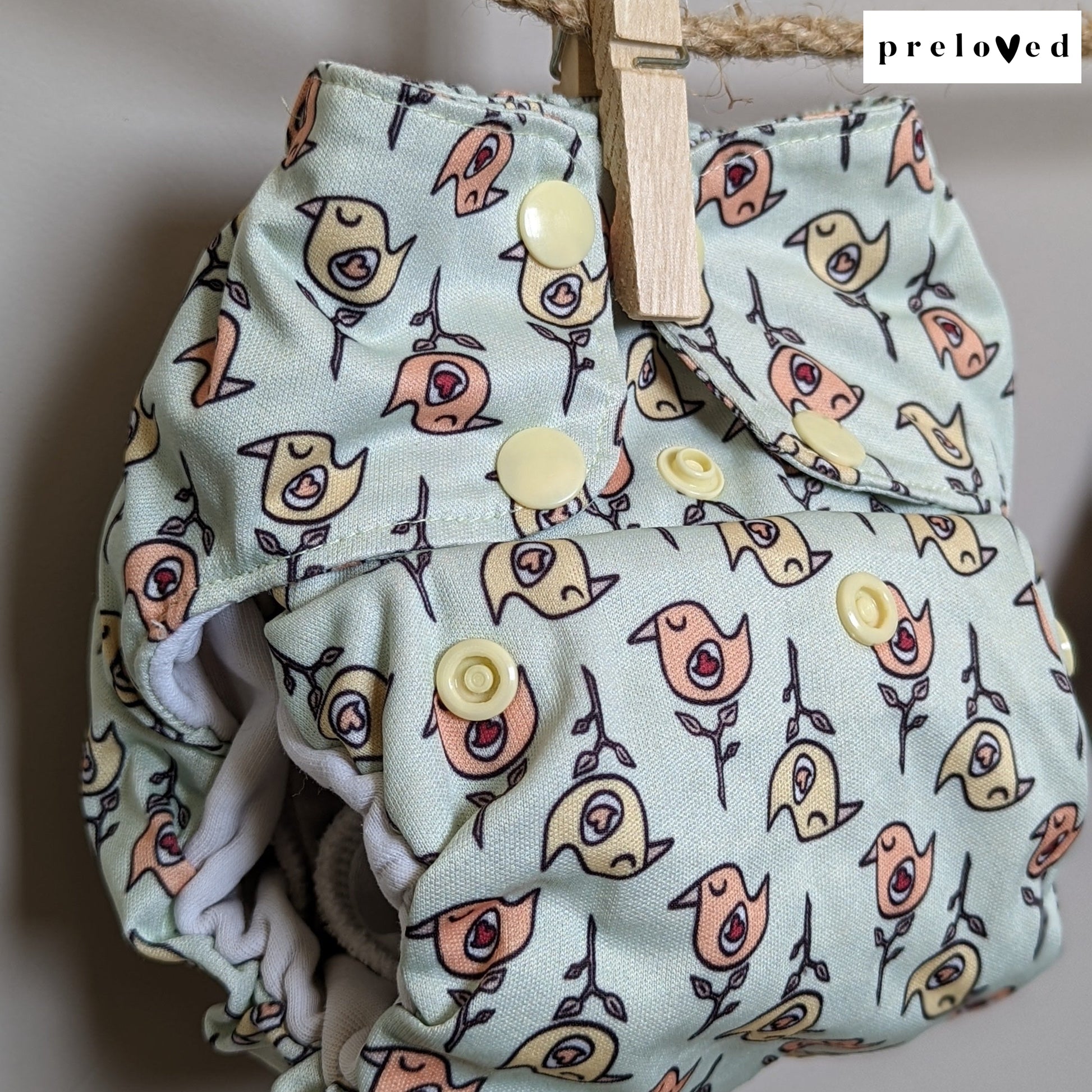 Smart Bottoms Organic AIO-All In One Nappy-Smart Bottoms-Birds-The Nappy Market