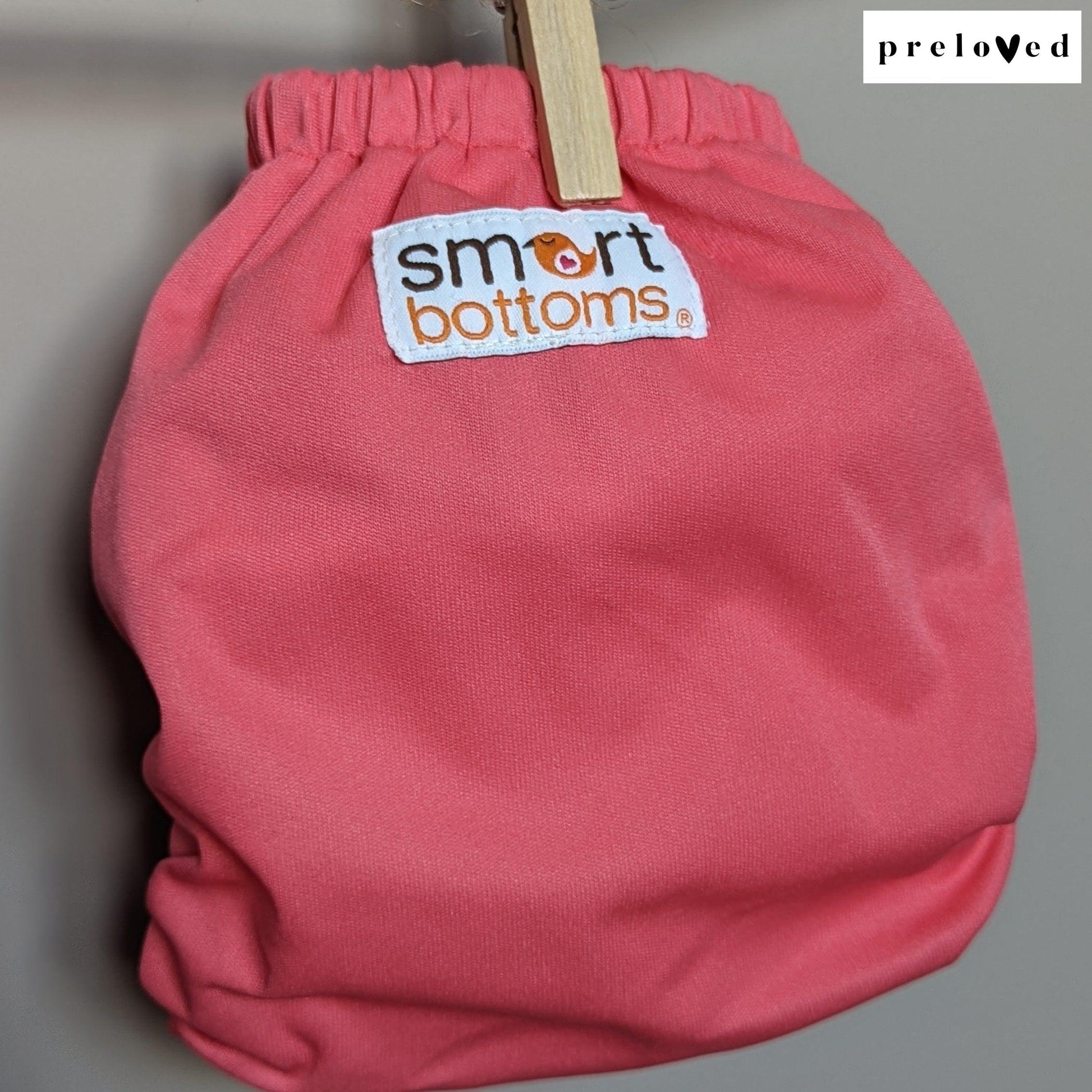 Smart Bottoms Organic AOI (2 set)-All In One Nappy-Smart Bottoms-Pink Floral-The Nappy Market