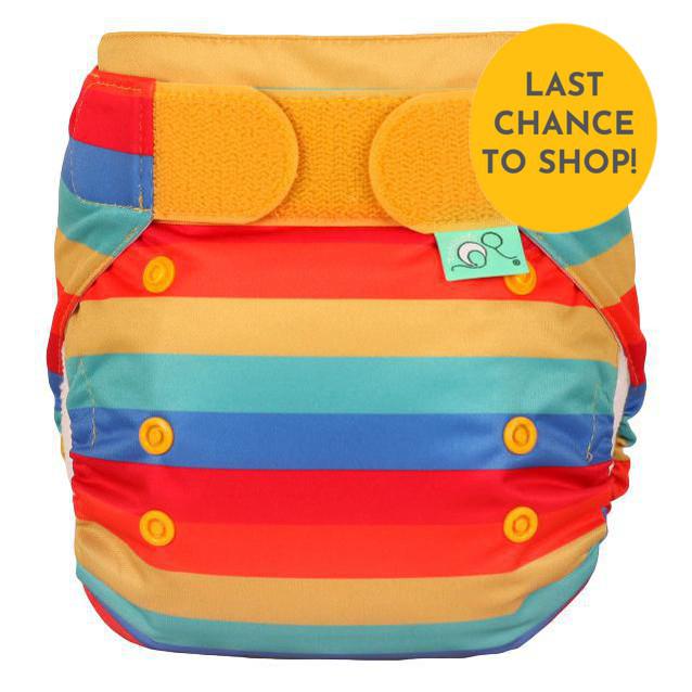 Tots Bots Easyfit All in One Nappy-All in One Nappy-Tots Bots-Rainbow Stripe-The Nappy Market