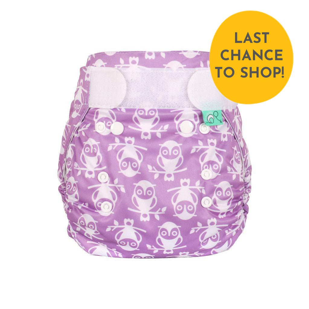 Tots Bots PeeNut Nappy Wrap - Size 1-Wrap-Tots Bots-Owlbert-The Nappy Market